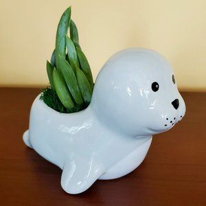 Seal Pot with Succulent, Ceramic Animal Planter